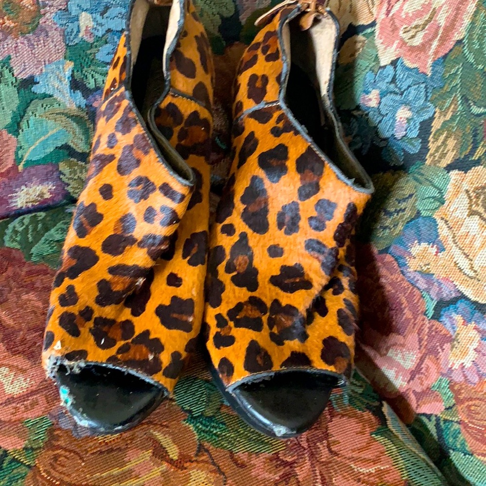 Anima print Banana Republic booties size 7.5